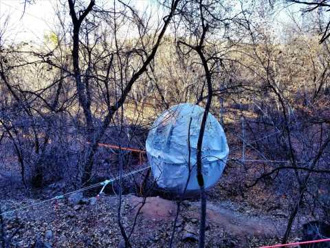 You Can Stay In A Cocoon Among The Trees Right Here In Arizona