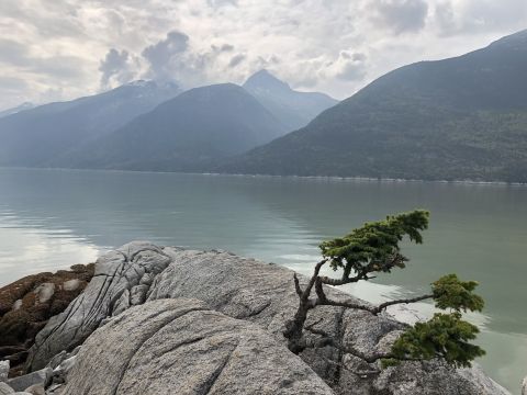 Hike The Rocky Shoreline Out To Smugglers Cove For Breathtaking Views In Alaska