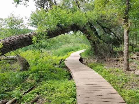 Take A Hike Through Lebanon Hills Regional Park In Minnesota To Get In Touch With Nature Without Leaving The City