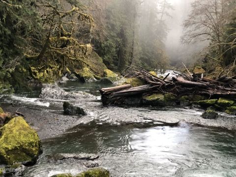 If You Only Have Time For One Hike In Washington This Year, Make It Staircase Rapids