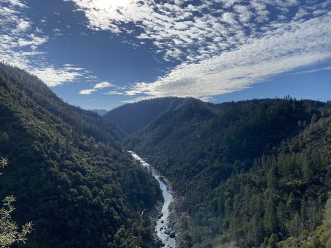 Stevens Trail Is One Walk Above The Trees In Northern California That's Beautiful Any Time Of Year