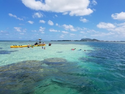 Support Heeia State Park And Go On An Adventure With Kama'aina Kayak and Snorkel Eco-Ventures In Hawaii