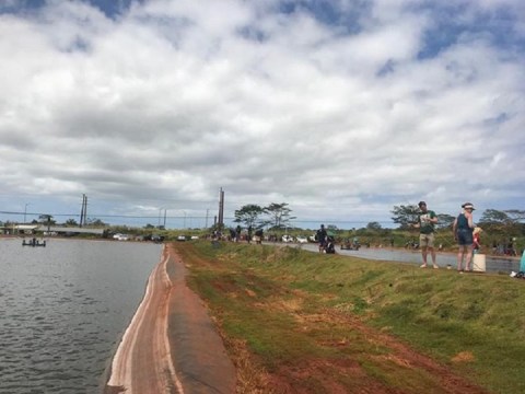 The Entire Family Will Enjoy Fishing From The Three Ponds Found At Ali'i Agricultural Farms In Hawaii