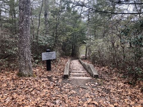 Hike This Stairway To Nowhere In West Virginia For A Magical Woodland Adventure