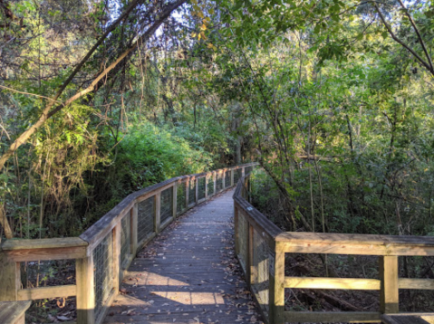 You Can Stroll Through The Swamps At The Bluebonnet Swamp Nature Center In Louisiana