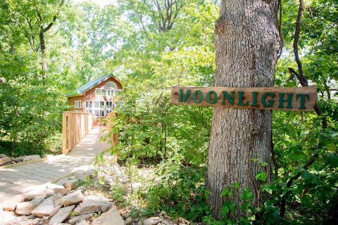 Sleep Among The Trees In An Enchanting Treehouse At The Cottage In Missouri