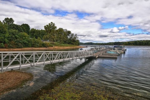 Bring Your Furry Friends To These Six Pennsylvania State Parks