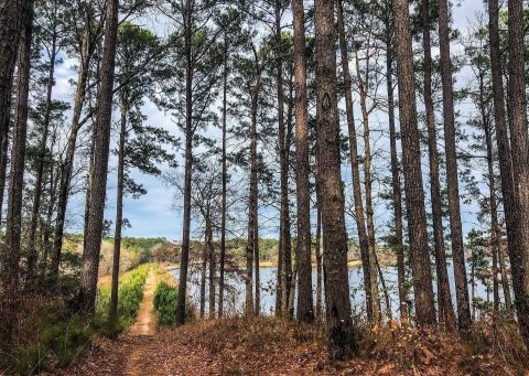 The Sugar Cane Trail In Louisiana Should Move To The Top Of Your Bucket List This Year