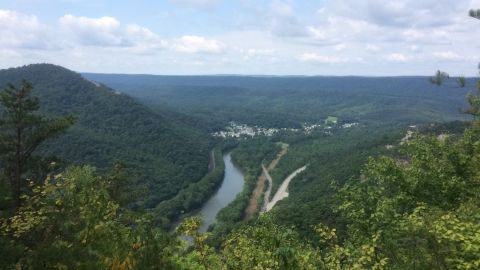 Hike This Stairway To Nowhere In Pennsylvania For A Magical Woodland Adventure