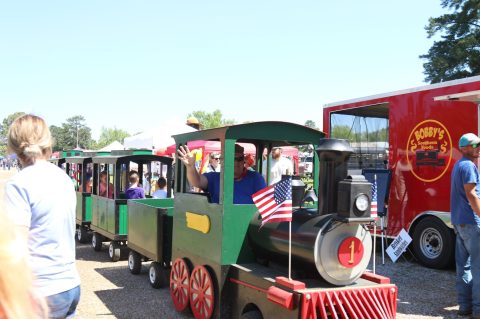 With A Mini Train Ride, Leggo Building Competition, And Timber-Themed Activities, The Louisiana Forest Festival Is Fun For Everyone