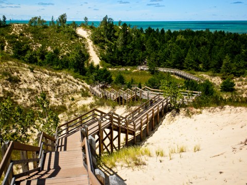 The Dune Succession Trail Is A Boardwalk Hike In Indiana That Leads To A Secret Beach View