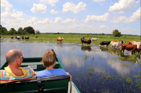 Plan A Trip To The New 85-Acre Drive-Through Safari Park In Wild Florida