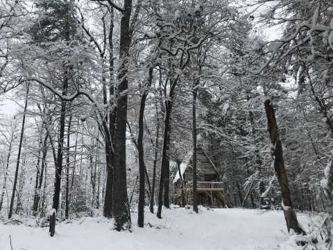 The Winter Treehouse Escape In Georgia Is A Charming Seasonal Getaway