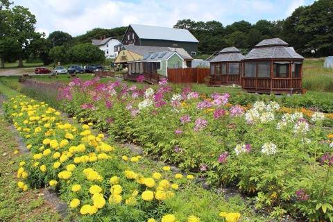 Tucked Away On A Maine Farm, The Well Is A Gorgeous Restaurant With Unforgettable Food