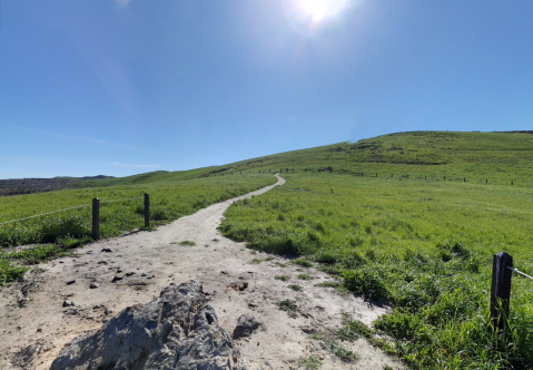 The 2-Mile Family Hike In Southern California Along The Quail Hill Loop Trail Will Get You Ready For Spring