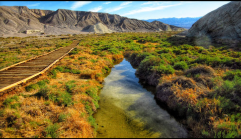 The Little-Known Boardwalk Trail, Salt Creek Boardwalk, That Winds Through The Southern California Desert Is Like Being On Another Planet