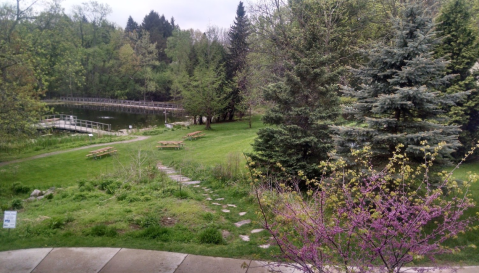 Johnson Nature Center Is A Little Known Natural Oasis Hiding Near Detroit And You're Going To Love It