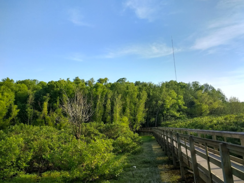 John James Audubon State Park Has A Boardwalk Hike In Kentucky That Leads To Secret Wetlands