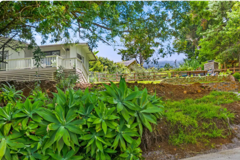 The Vacation Rental Nestled On An Alpaca & Rabbit Farm In Hawaii Is As Dreamy As Can Be