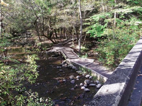 Take An Easy Out-And-Back Trail To Enter Another World At Cataract Falls In Tennessee