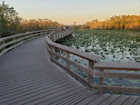 Anhinga Boardwalk Trail In Florida Leads To Incredibly Scenic Views