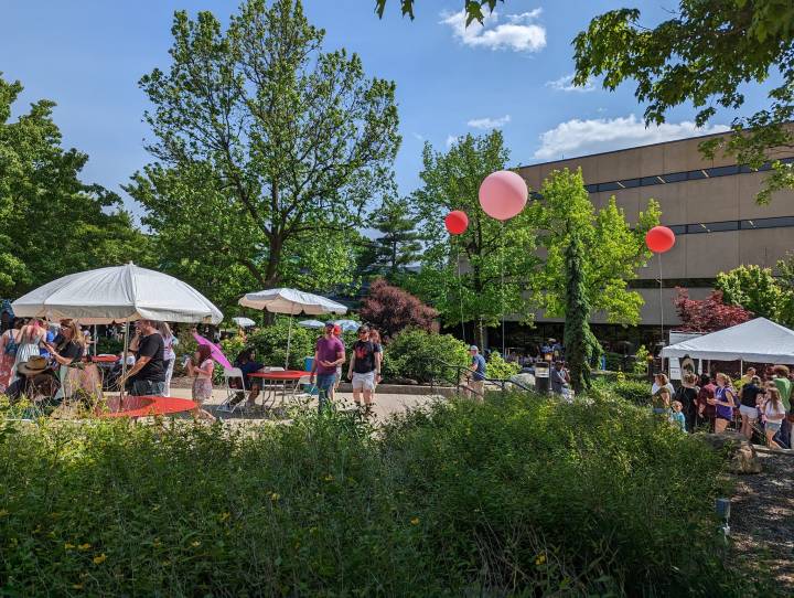 fort wayne cherry blossom festival