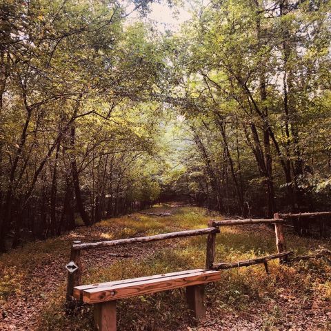 Take An Easy Loop Trail To Enter Another World At Musgrove Mill Historic Site In South Carolina