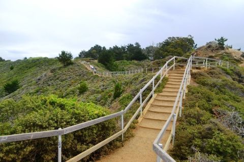 Hike The Owl Trail In Northern California For A Chance To Spot Numerous Great Horned Owls