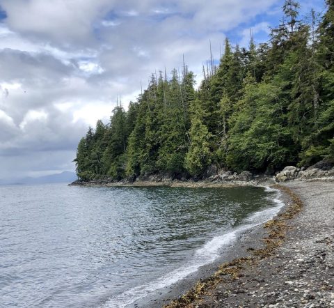 Traipse Through A Rainforest To Get To A Secluded Beach In Alaska On The Coast Guard Beach Trail