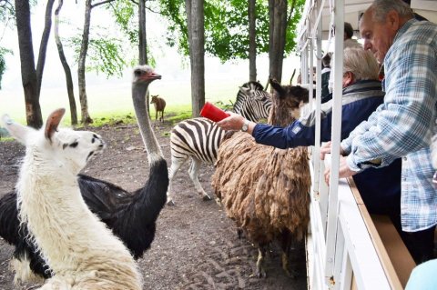 Plan A Trip To The 60-Acre Wild Game Safari Park Near Buffalo