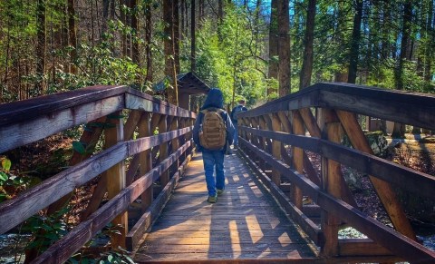 Take An Easy Out-And-Back Trail To Enter Another World At DeSoto Falls In Georgia