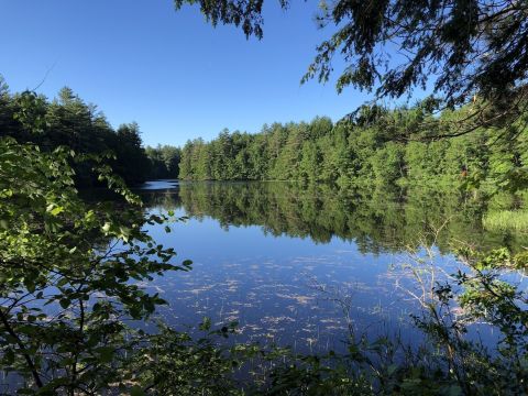 Take An Easy Loop Trail To Enter Another World At The Kezar River Preserve In Maine