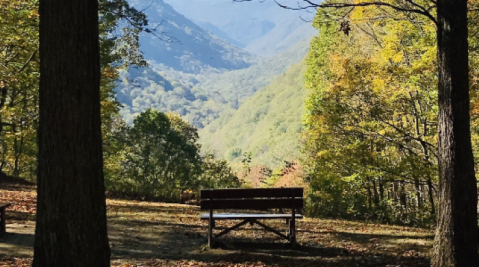 Island In the Sky Trail Is A Woodland Hike In West Virginia That Leads To A Gorgeous Scenic Overlook