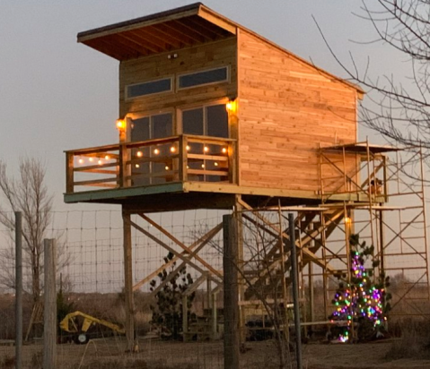 Go Treehouse Camping At Tiger Safari Zoological Park In Oklahoma