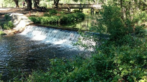 The Hike To The Pretty Little Jackson Creek Waterfall In South Carolina Is Short And Sweet