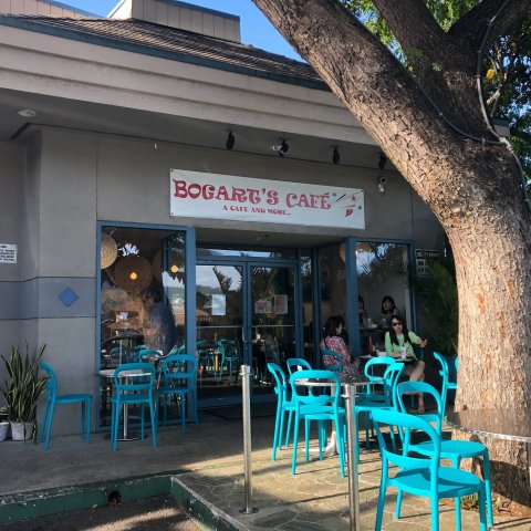 Acai Bowls, Bagels, And Now Pasta Are The Star Of The Show At Bogart's Cafe In Hawaii