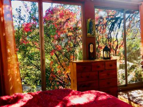 Sleep High Up In The Forest Canopy At The Treehouse Suite In Arizona