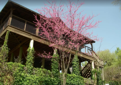 Go Treehouse Camping On The Colorado River In Texas