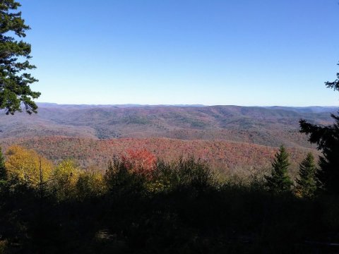 Take An Easy Loop Trail To Enter Another World At Gaudineer Knob In West Virginia