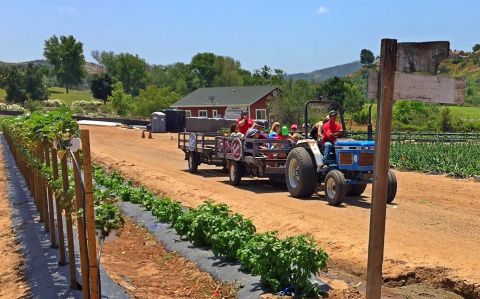 Tanaka Farms In Southern California Transforms Throughout The Seasons Of The Year