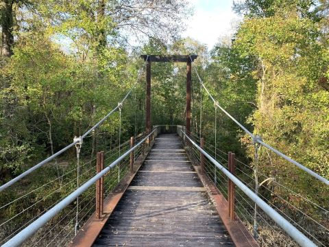 Visit Tickfaw State Park Near New Orleans For A Beautiful Waterside Springtime Hike