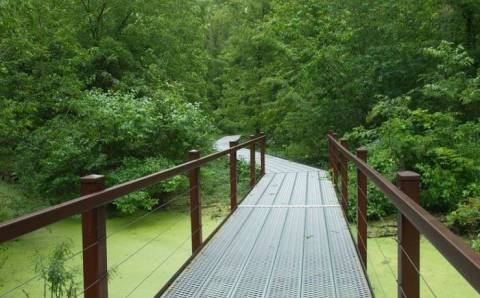 Visit Big Oak Tree State Park, An Idyllic Isolated Spot In Missouri For People Who Hate Crowds