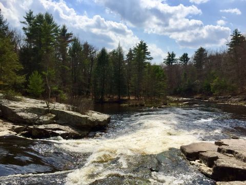 Be In Awe Of The Natural Beauty Found On This Short, Secluded Hike In Pennsylvania’s Blakeslee Natural Area