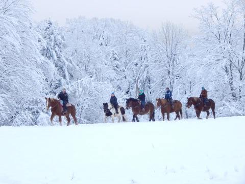 Go On A Breathtakingly Beautiful Horseback Riding Tour In Lajoie Stables In Vermont