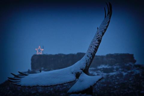 The Iconic Castle Rock Star In Colorado Will Shine Bright Amid The Coronavirus Pandemic