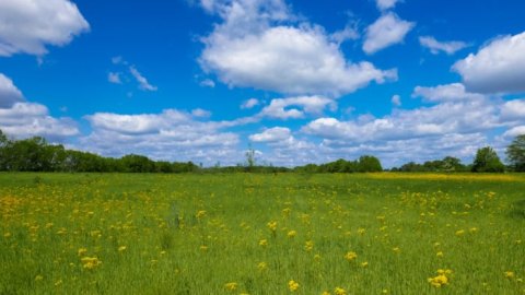 Beautiful Trails, Nature Centers And Endless Adventure Awaits At These 10 Ohio Metro Parks