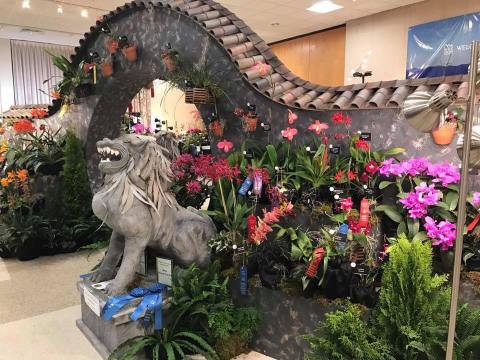 Walk Through A Sea Of Orchids At The North Carolina Orchid Festival At The North Carolina Arboretum