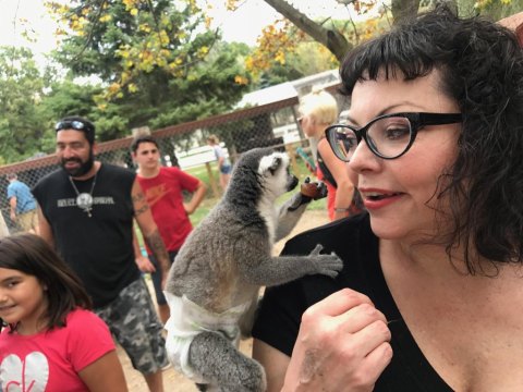 Play With Lemurs, Kangaroos, And More At Bear Den Zoo and Petting Farm In Wisconsin For An Adorable Adventure