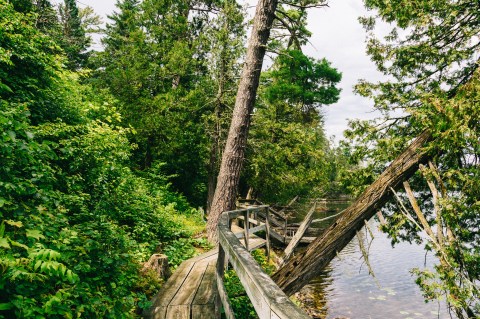 The Tell Lake Boardwalk Hike In Minnesota Leads To Incredibly Scenic Views