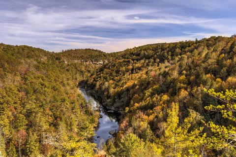 The Deep Green Gorge Near Nashville That Feels Like Something Straight Out Of A Fairy Tale